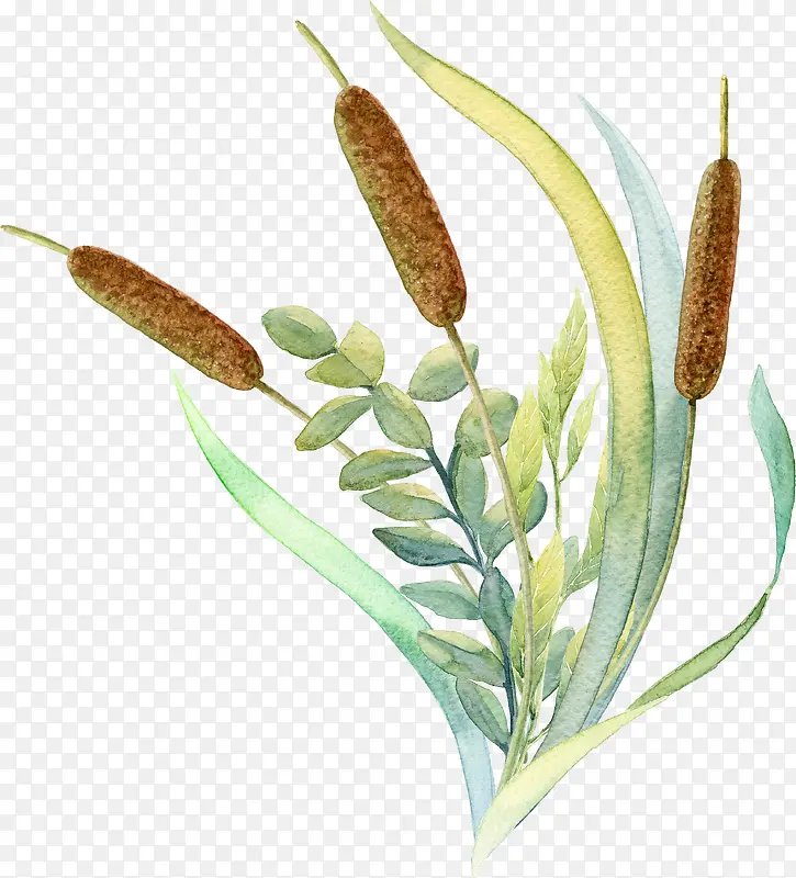 �ֻ湷β�Ͳ�װ��-������