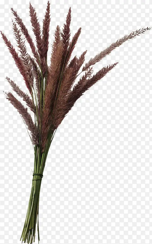 һ����β�Ͳ�-������