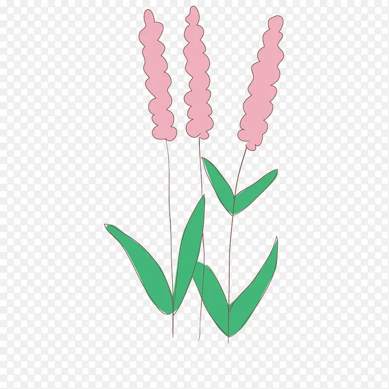 ʸ����ӣ��Ҷ��β�Ͳ�-������