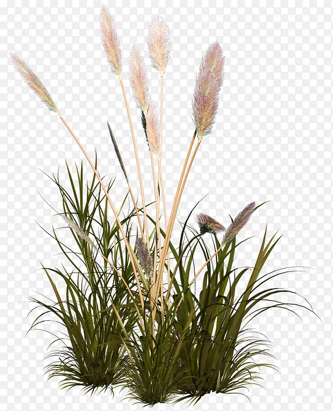 ��ɫ��Լ��β�Ͳ�װ��ͼ��-������