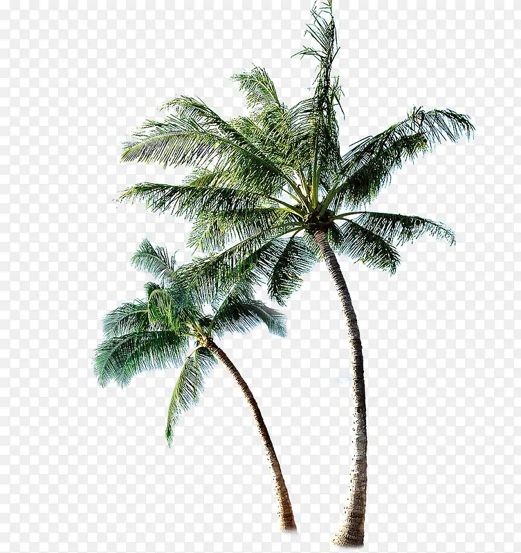 ��-������