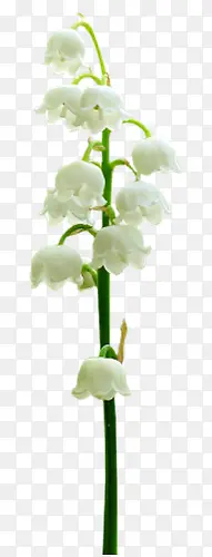 ��ɫ����-������