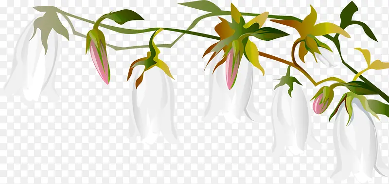 ��ɫ��ͨ��������-������