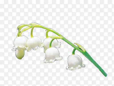 ��������ɫ������-������