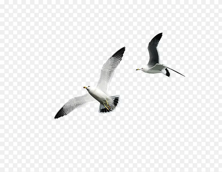 ��Ÿ�ز�-������