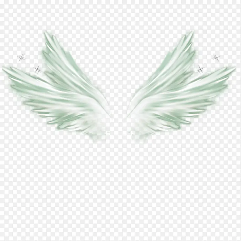 ��ɫ�ĳ���ز�-������