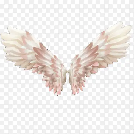 ����ֻ��ز�-������