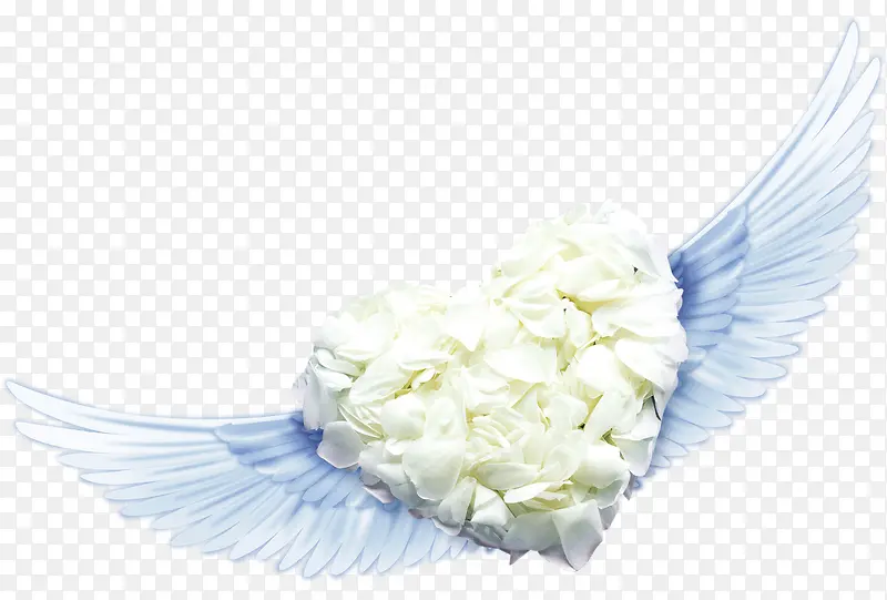 ��ɫ���ĳ��-������