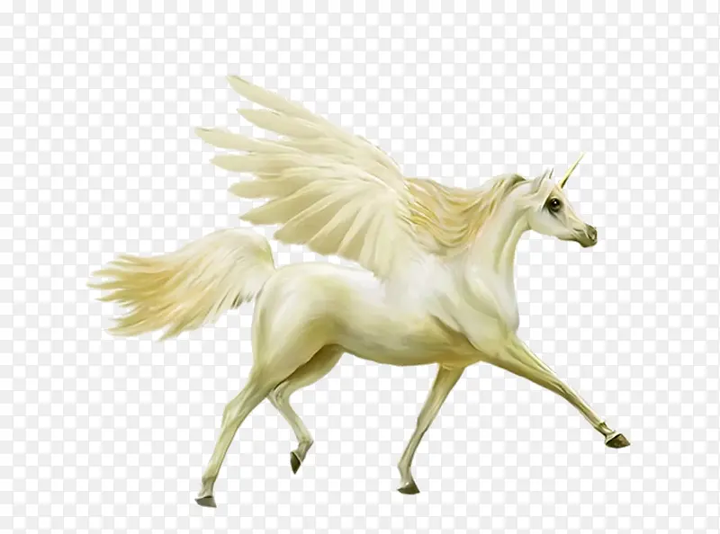 ��ɫ������-������