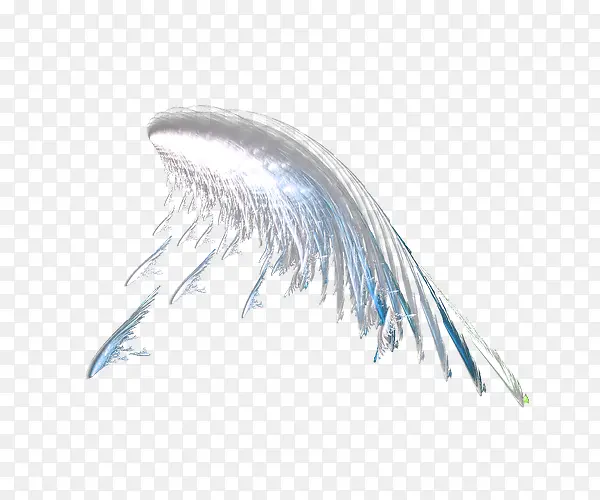 ��ɫ͸������ز�-������