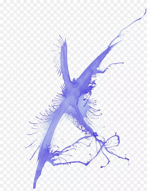 ˮ�ʻ�������Ӱ.˫����-������