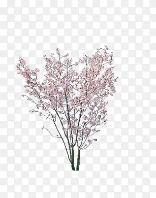 ��������ֲ��-������