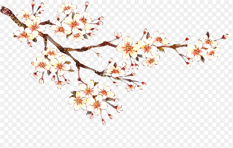 �����֦÷��װ��-������