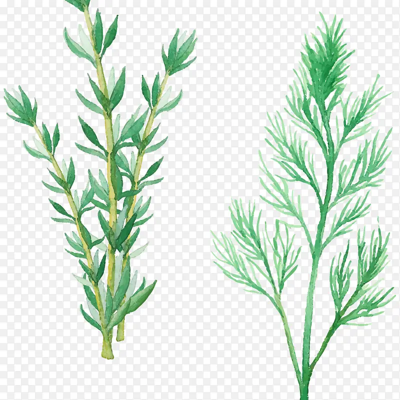 ˮ�ʵ�ζ���-������