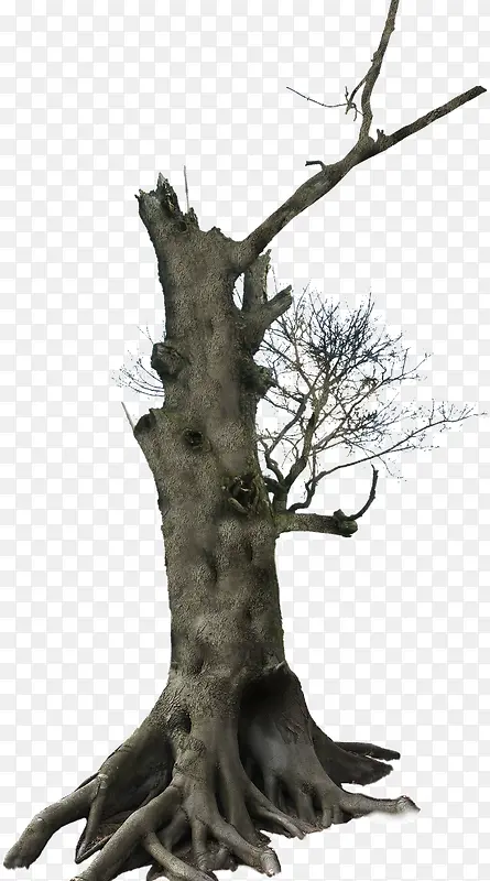 �ɿݵĴ���-������