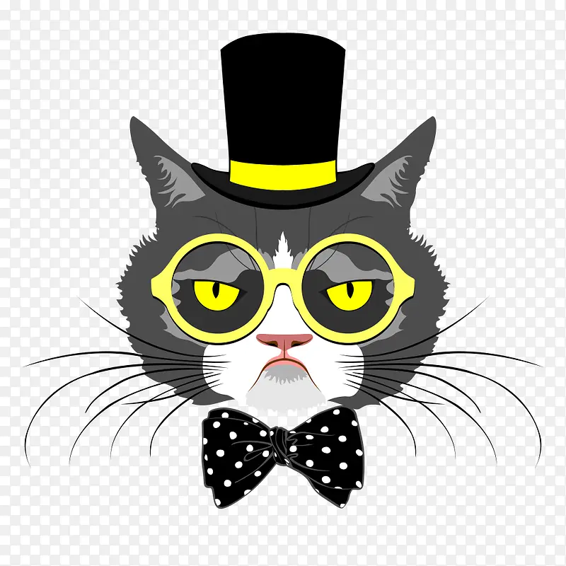 ��ʿ�Ķ��￨ͨʸ��-������