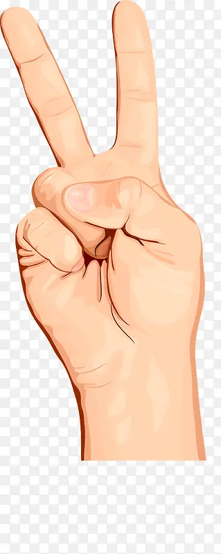 ʤ���������ز�ͼ-������