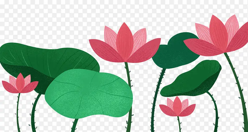 ��ͨ�ֻ��й���ɻ���Ҷ-������