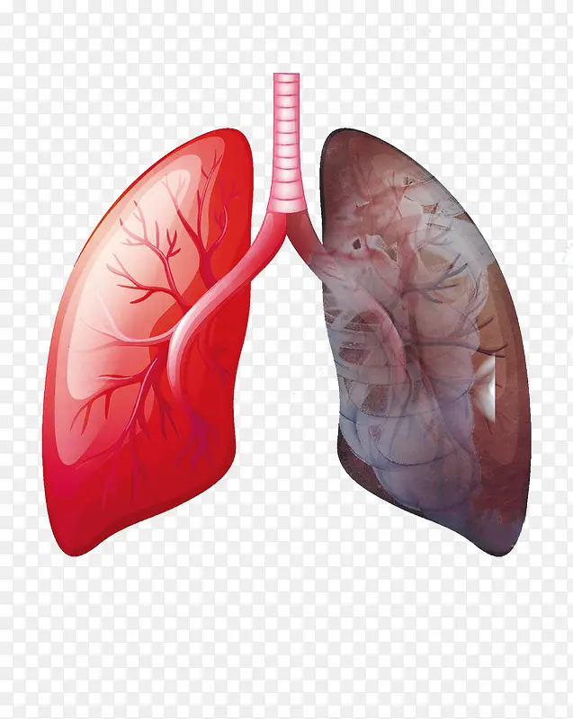 ���ⱻ��Ⱦ�ķ����-������