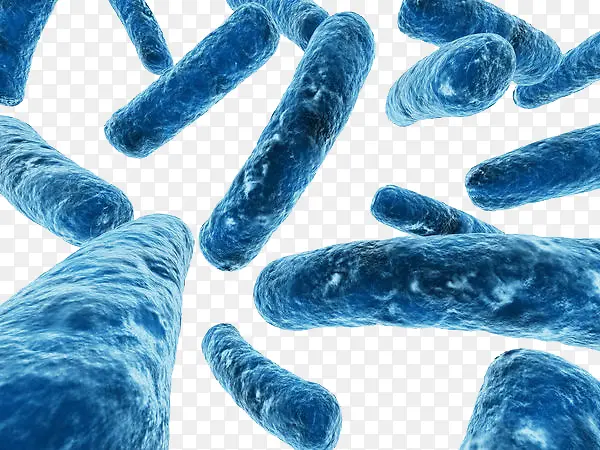 ���̲�������廭-������