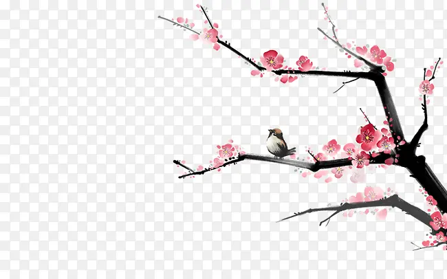 �һ�-������