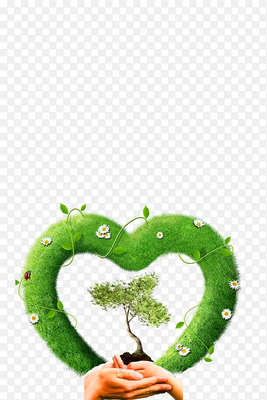 ������ɫ����-������