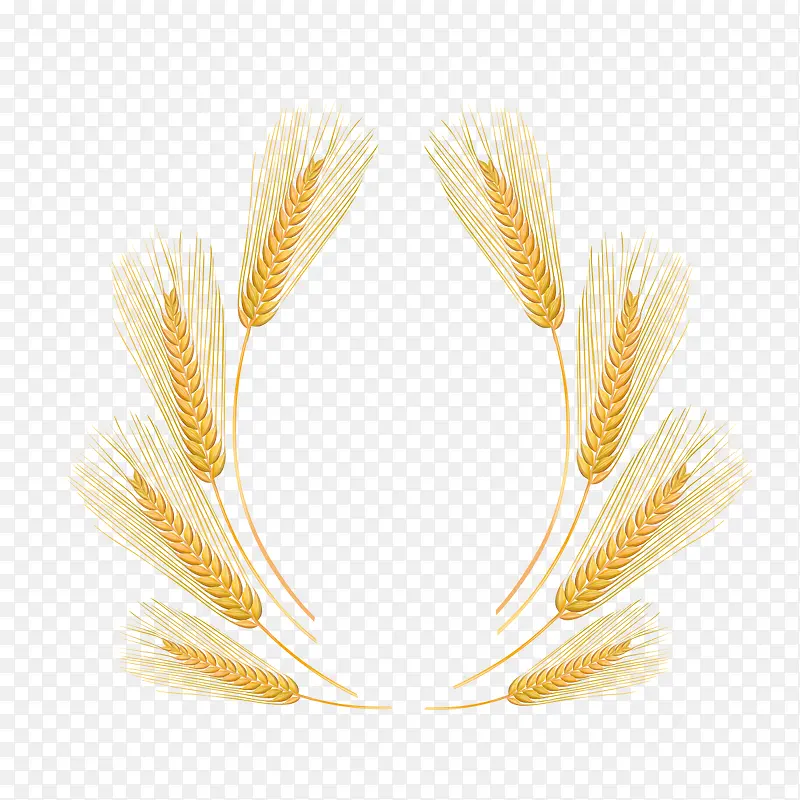 ����ʳ������-������