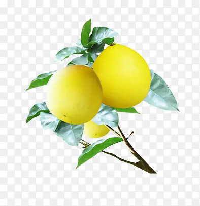 ����-������