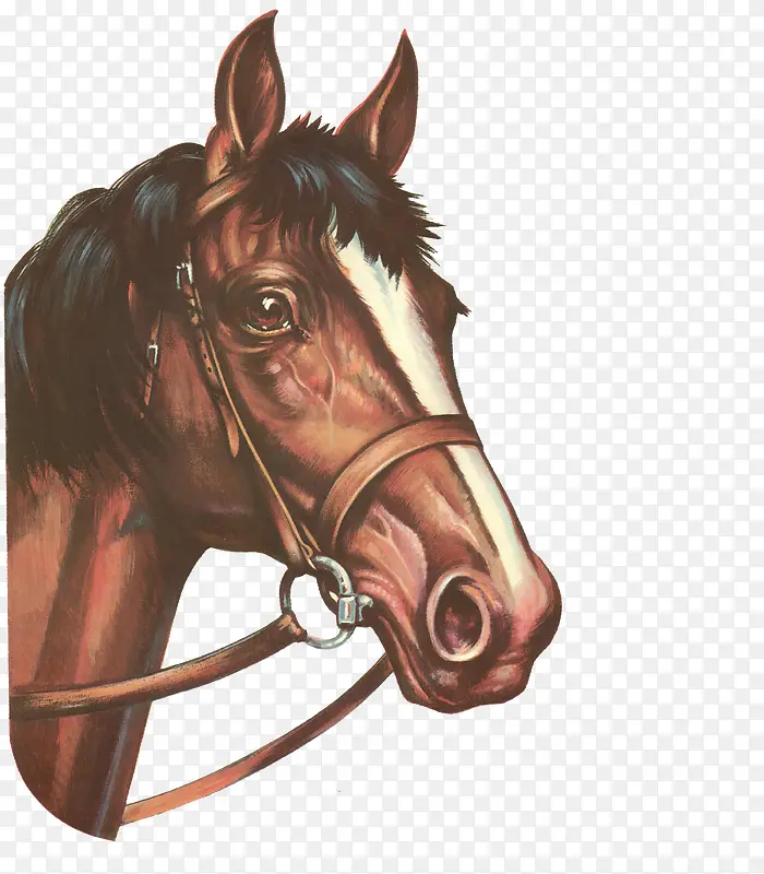 ɫ���ֻ���-������