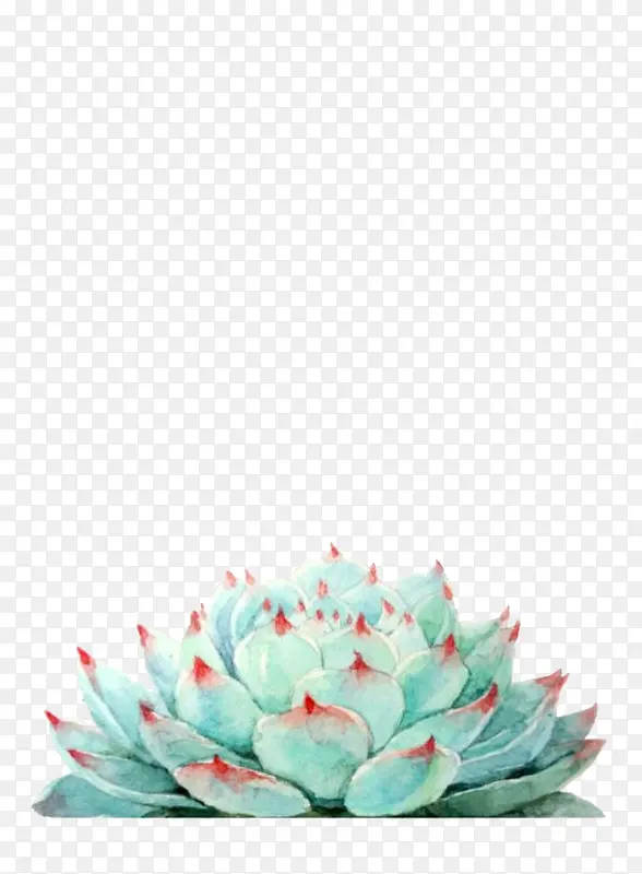 ����ɫ����-������