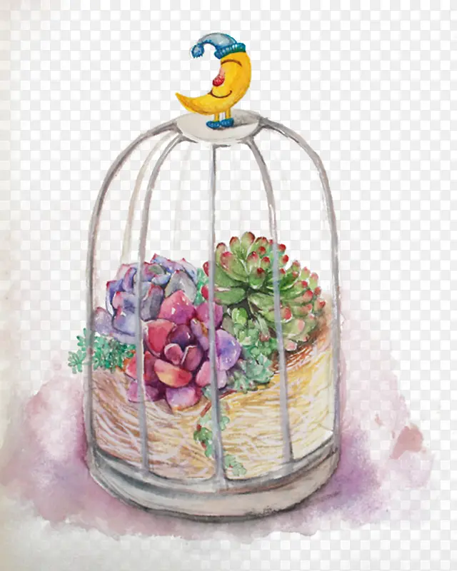 Ψ��ֲ��-������