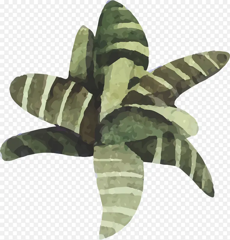 �ֻ�ˮ�ʶ���-������