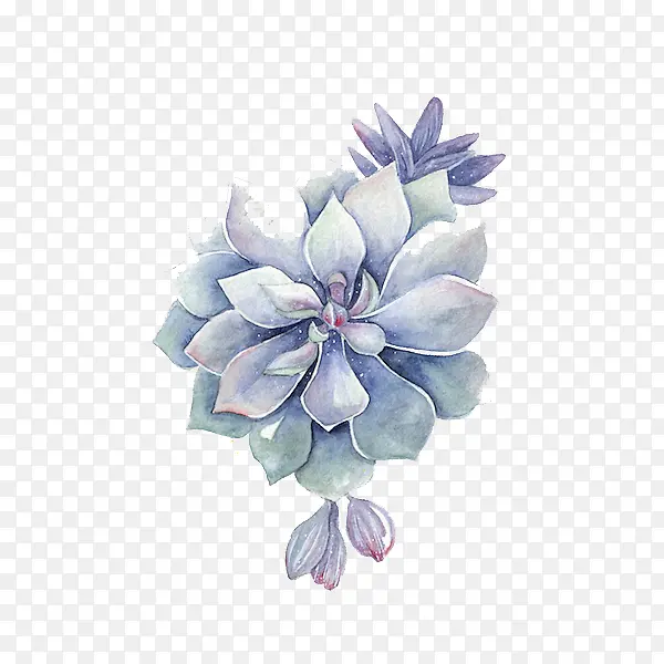 ����ˮ���ֻ����-������