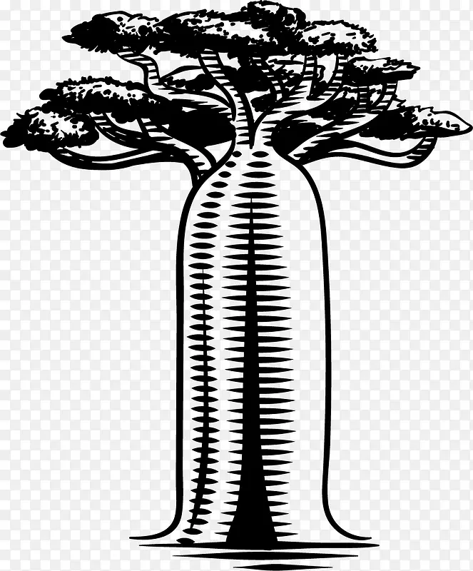 ��ֱʸ����ɫ�����-������