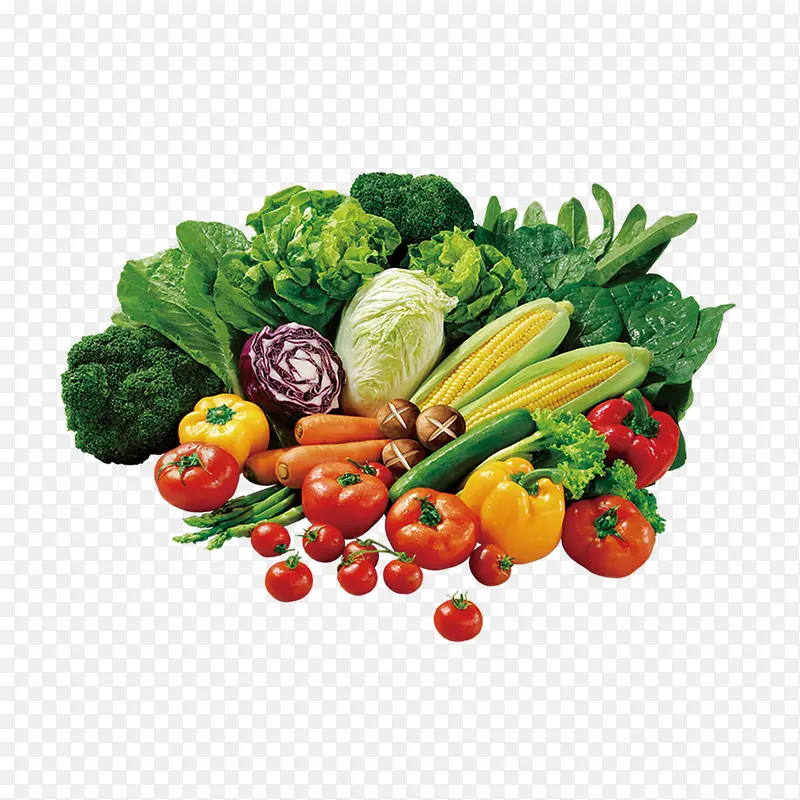 �����߲�-������