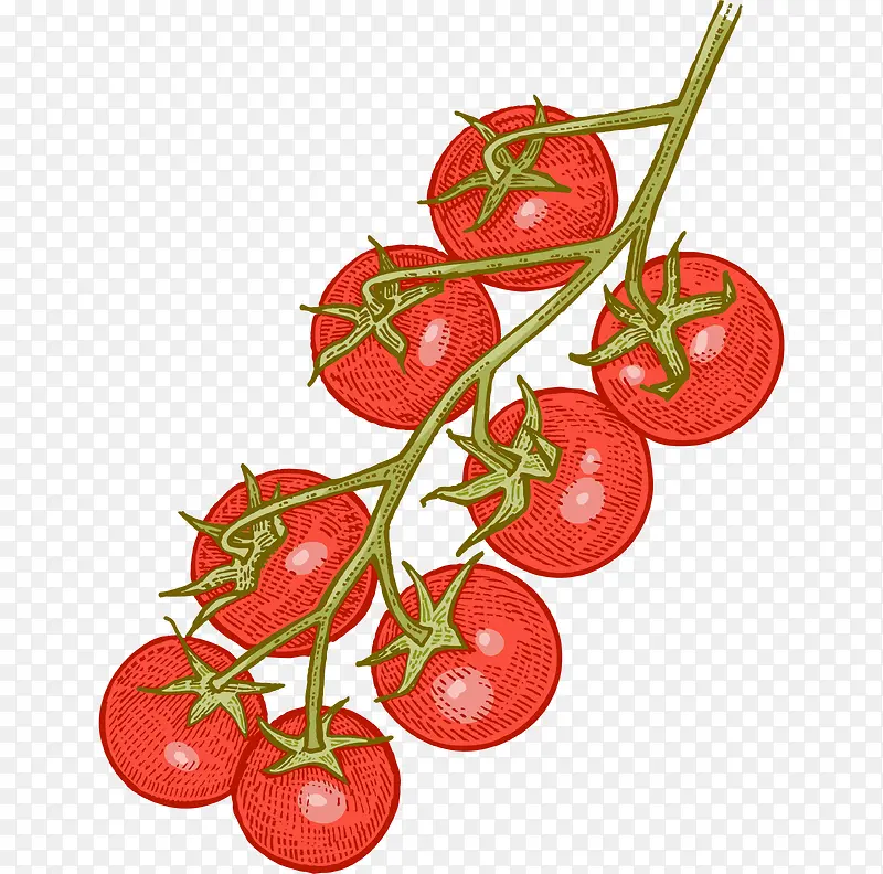 ��ͨ�ֻ��߲�װ�κ������-������