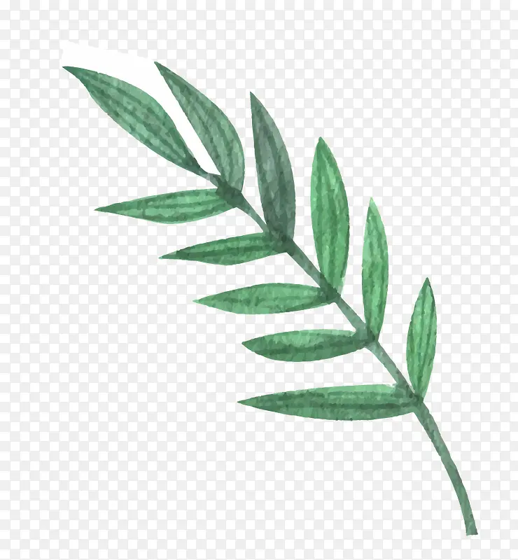 ˮ��װ��Ҷ��ʸ��Ԫ��-������