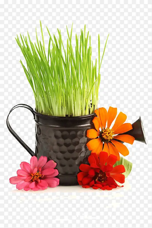 ��ͨ���ز�-������