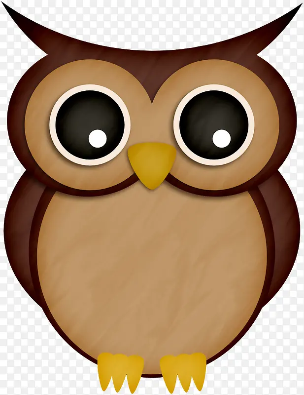 ��ɫ����èͷӥ-������