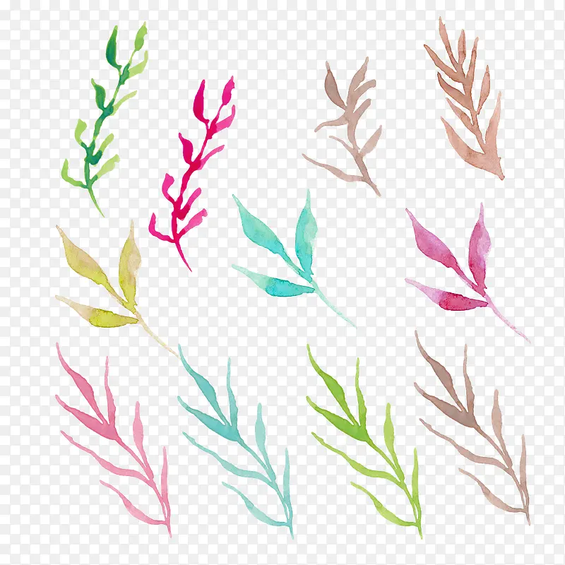 �ֻ���Ҷ-������