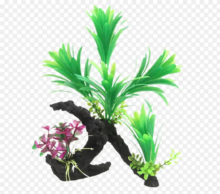 �����ľ��֦����ˮ��-������