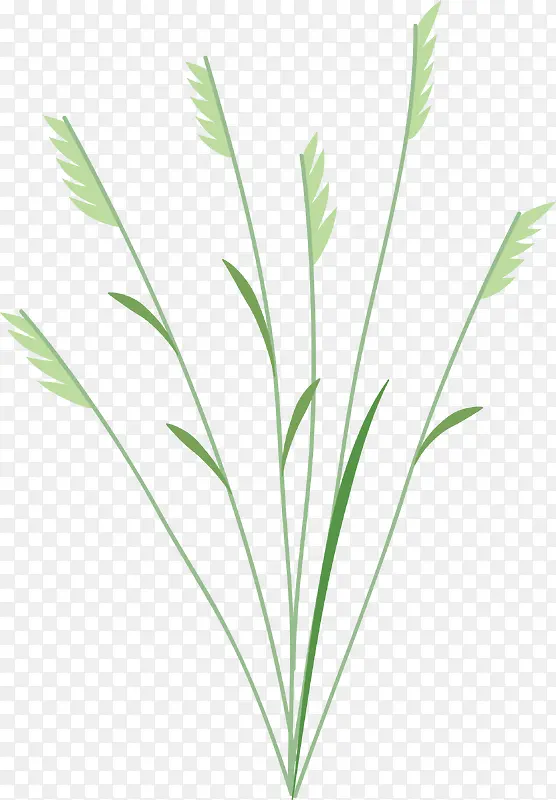 С�ݰ�����ͼ��С��-������