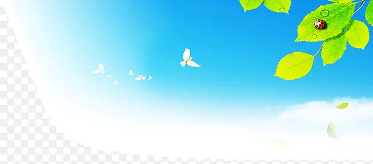 ��Ҷ����-������