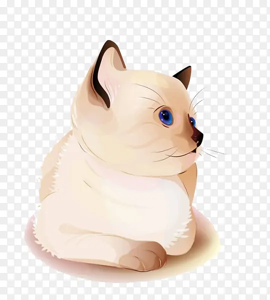 ����è����-������