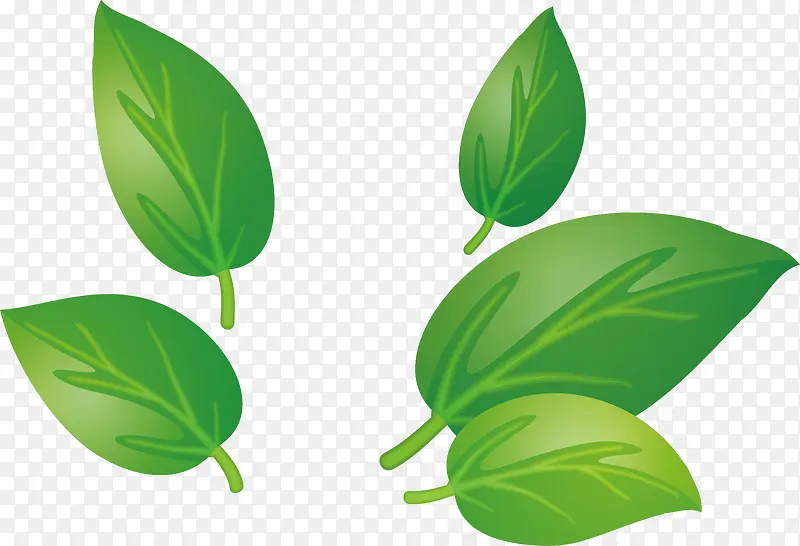 Ҷ��pngʸ���ز�-������