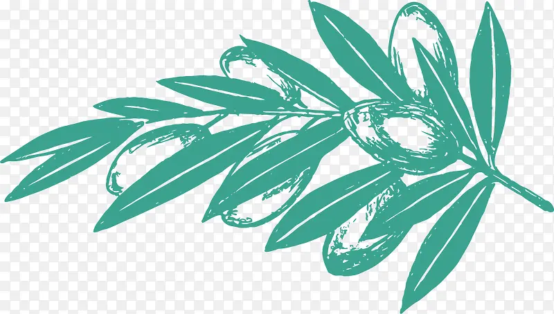 �ֻ�Ҷ��-������