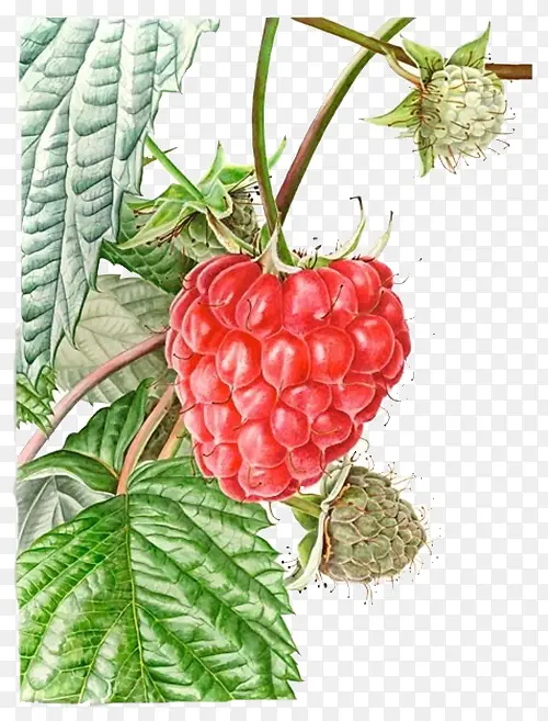 ������ˮ��-������