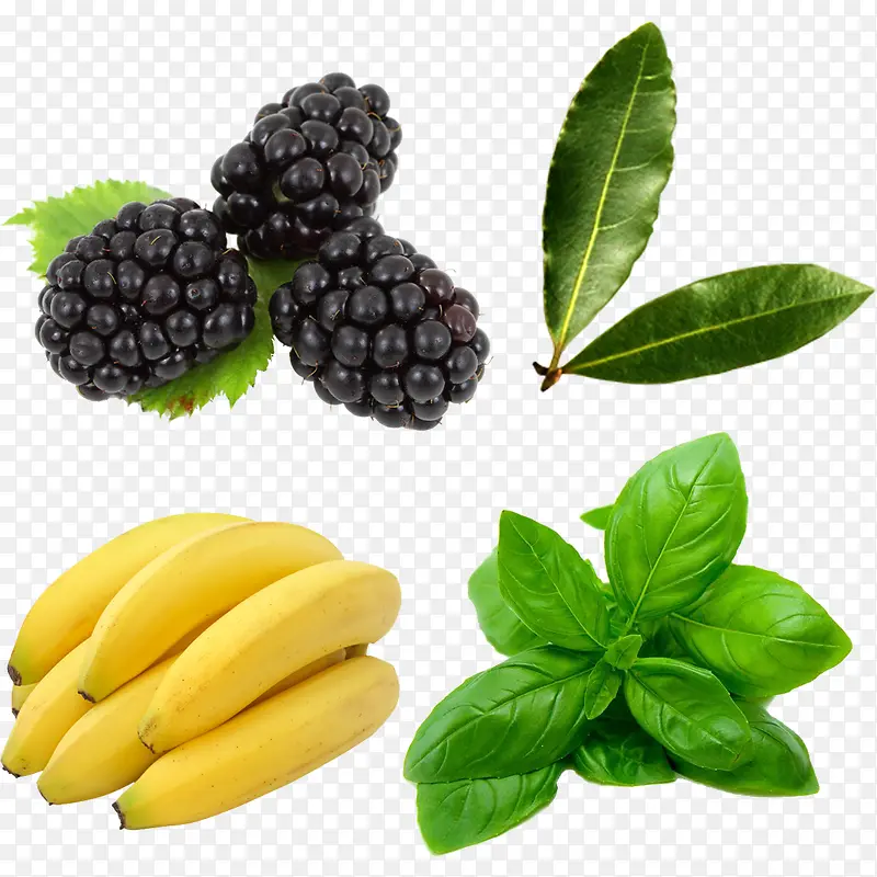 ����ʳ���ز�-������