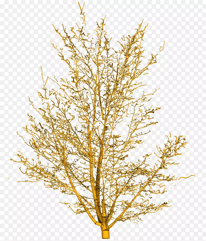 ��֦�ƹ�ľ-��֦-������