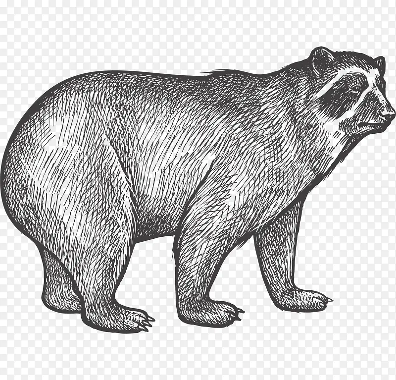 ��ͨ�ɰ�С����װ�ζ���ͷ��-������